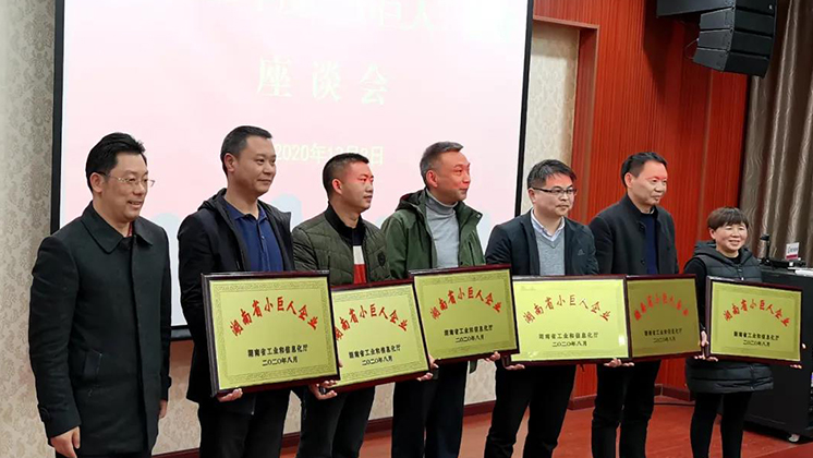 喜大普奔！香港宝典资料大全7401被评为湖南省“小巨人”企业