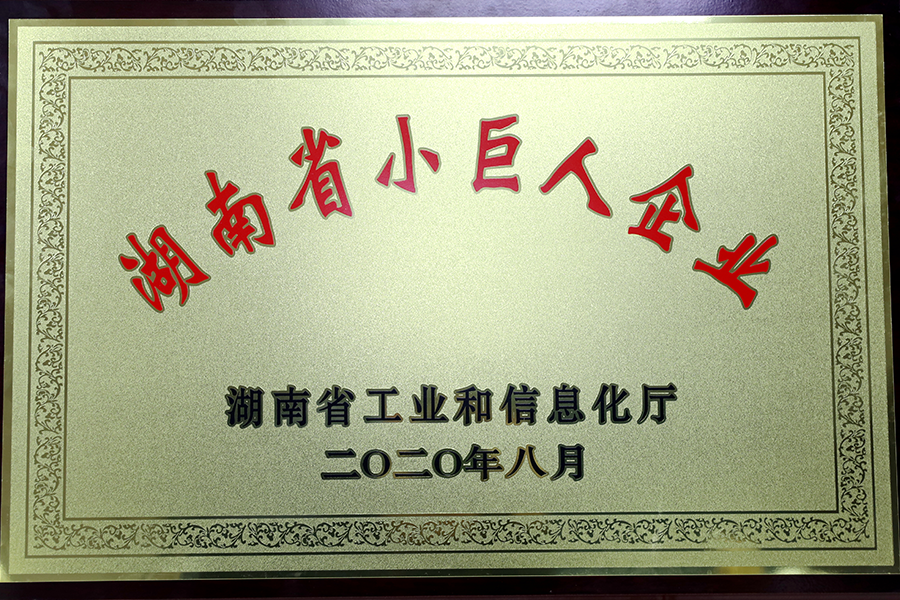 湖南省小巨人企业